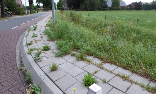 Gemeente Oldambt gaat drastisch bezuinigen op o.a. groenonderhoud