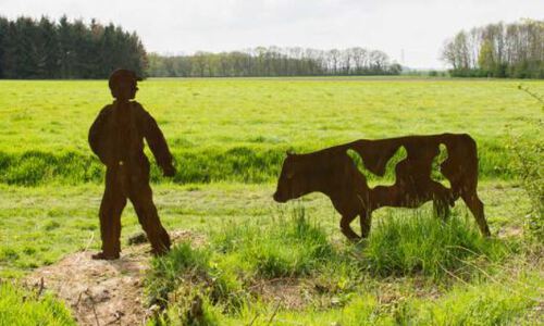 Staatsbosbeheer bereidt boswerkzaamheden voor in Westerlee